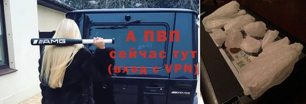 a pvp Пересвет