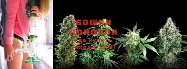 гидра Орехово-Зуево