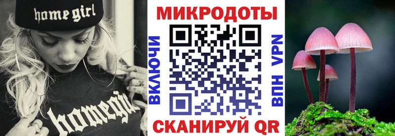 Псилоцибиновые грибы мицелий  Губкин 